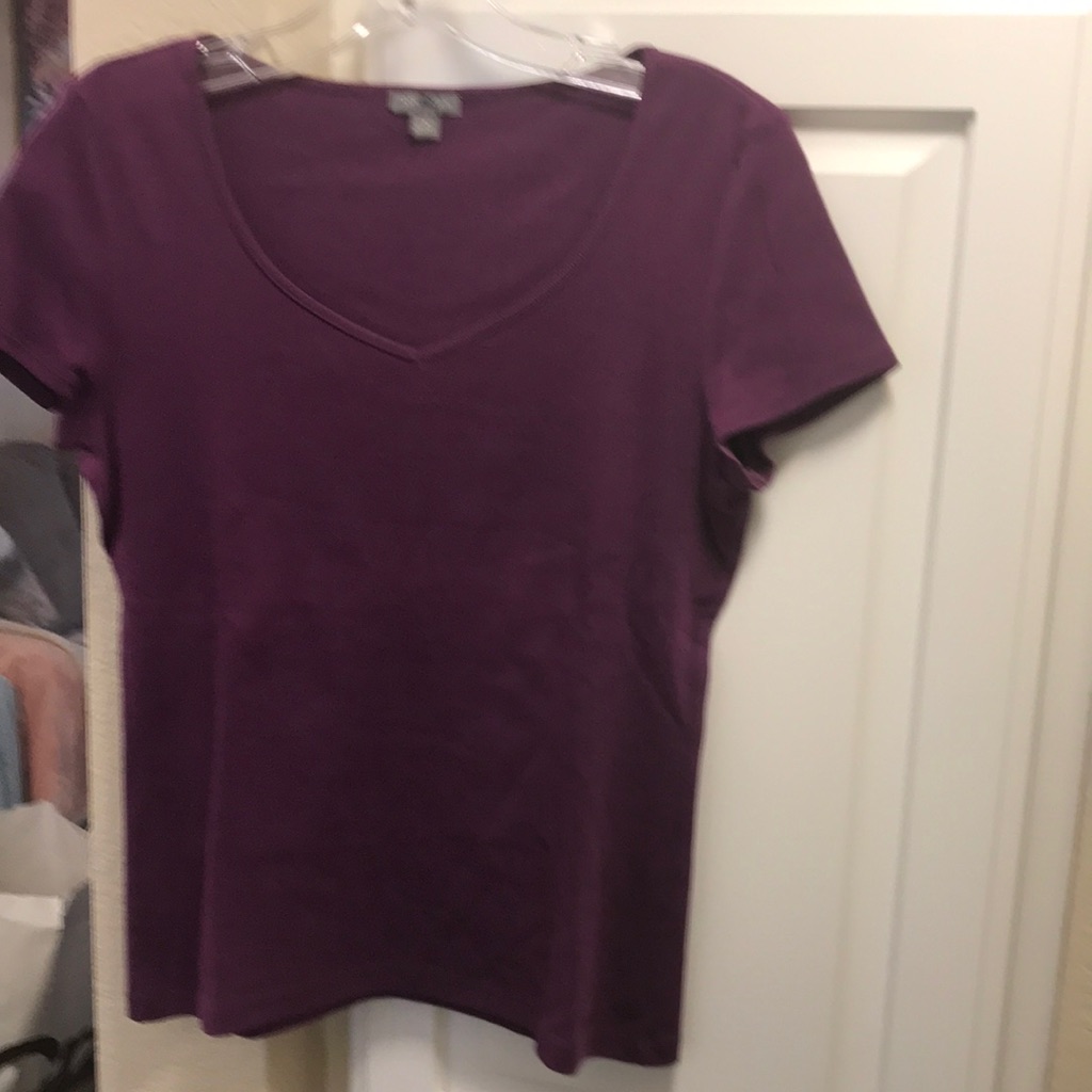 3 For $15 Ann Taylor Purple V-Neck Short Sleeve T-Shirt